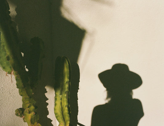 Desert Shadow